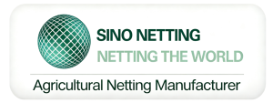 SinoNetting