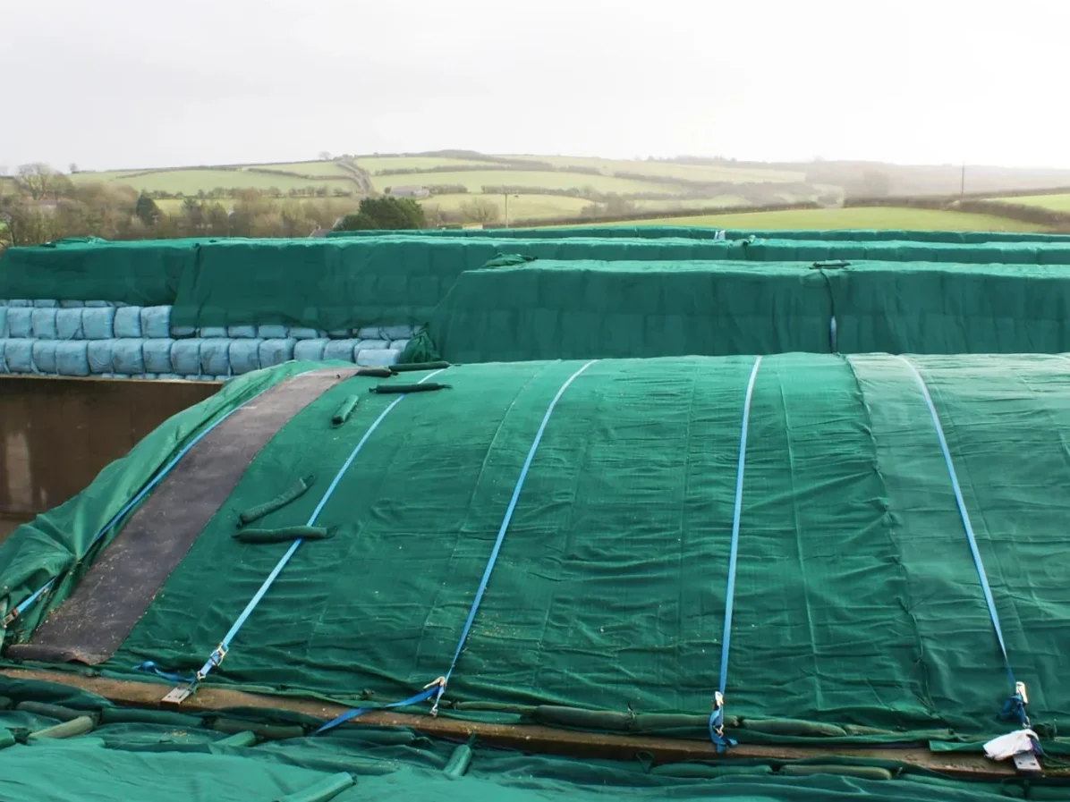 Green protective silage netting over a silage clamp with weighting bags