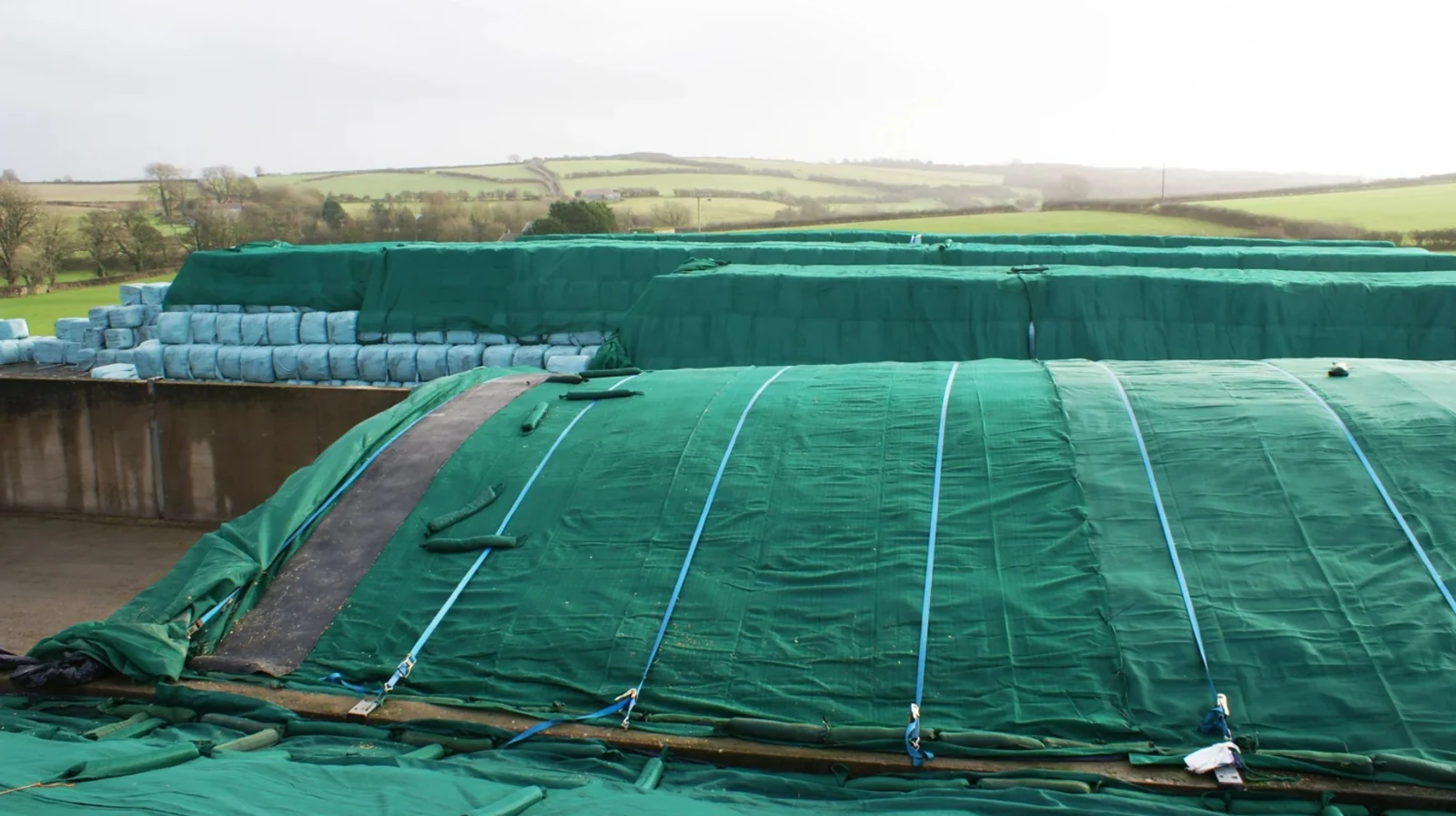 Green silage protection netting installed over silage film with gravel bags