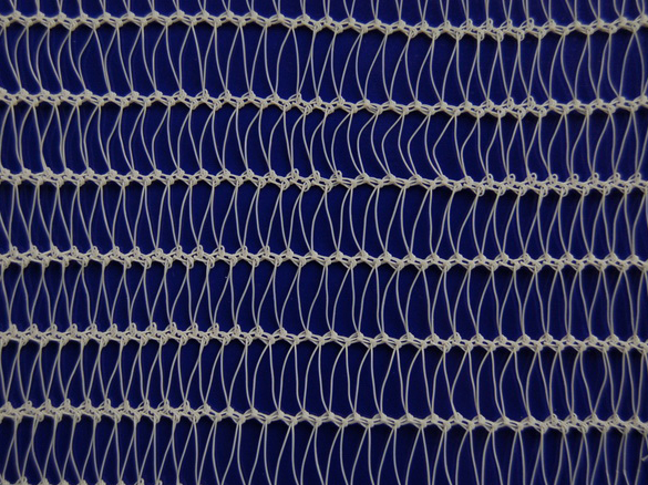 SN3007