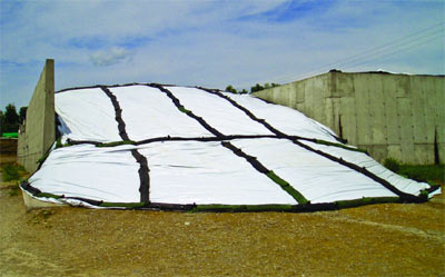 Silage Bags3