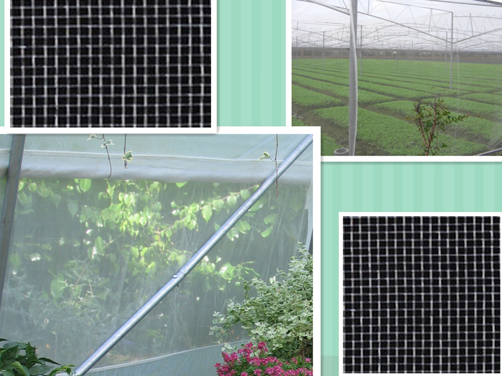 Insect Mesh Netting3