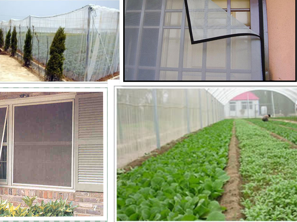 Insect Mesh Netting2
