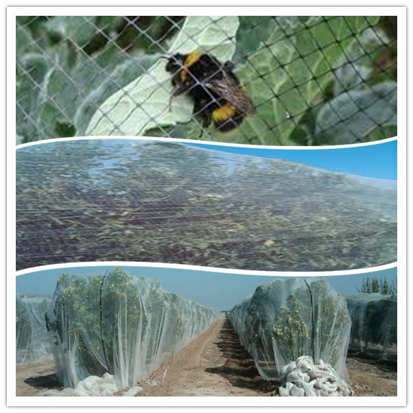 Bee Nets