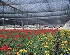 agriculture shade netting