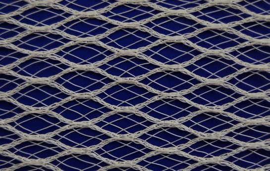 SN2002