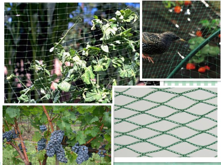 Garden Bird Netting1