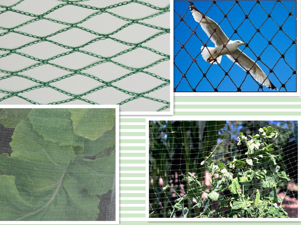 Garden Bird Netting3