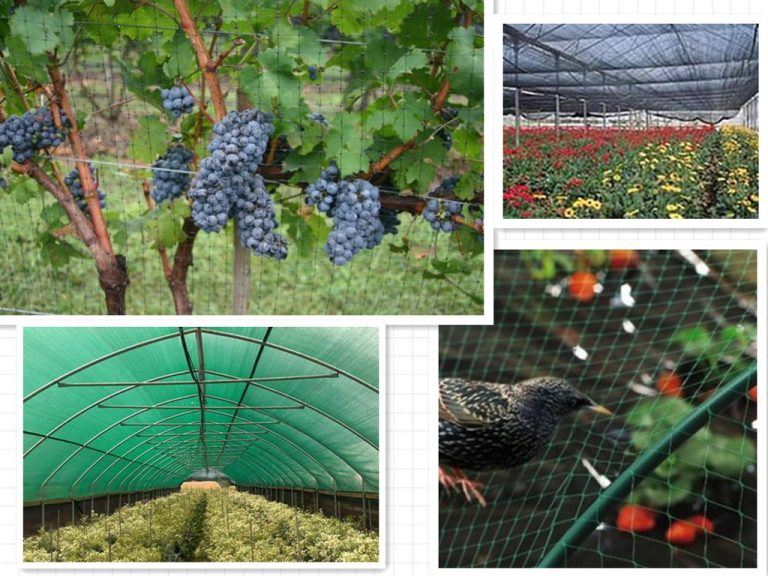Garden Netting1