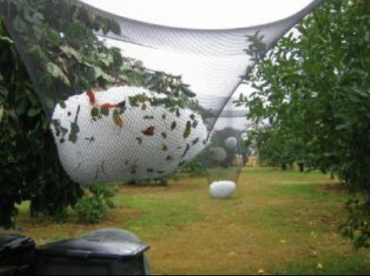 Anti Hail Netting2