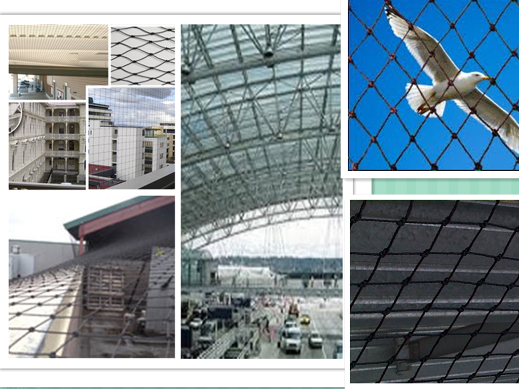 Building Bird Netting2