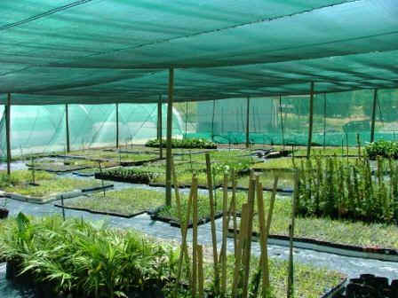 Shade Netting1