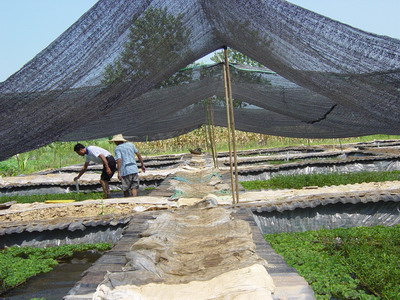 Shade Netting3