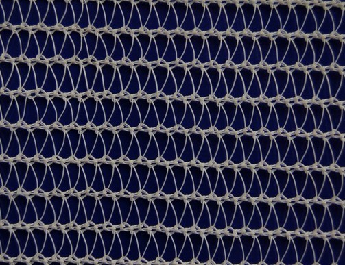 SN3009