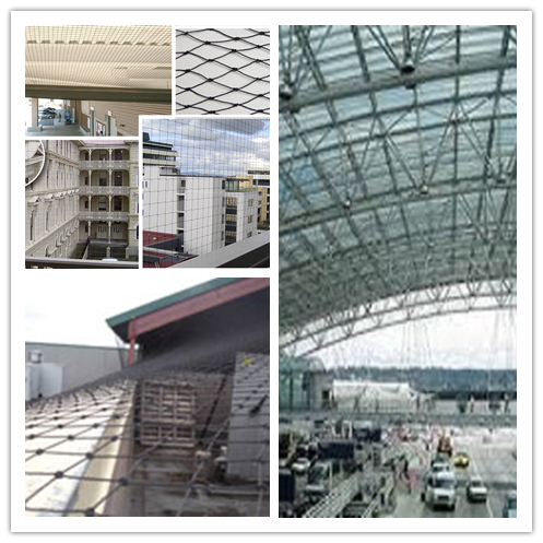 Building Bird Netting1