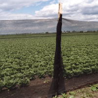 Windbreak Neting1