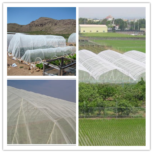 Insect Mesh Netting1