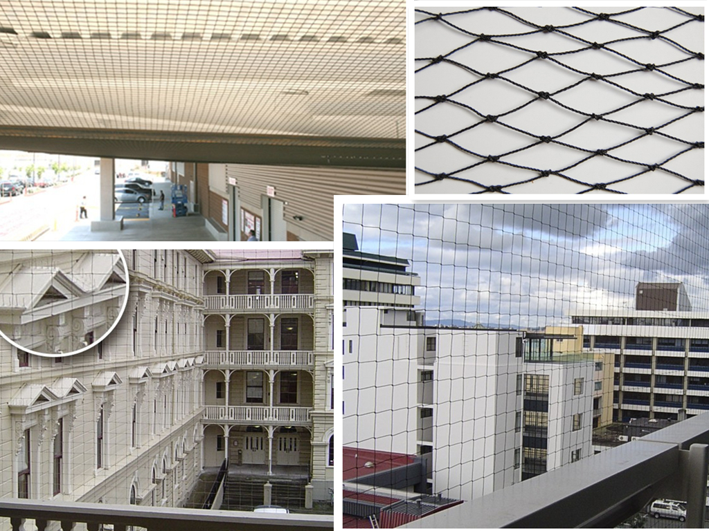 Building Bird Netting3