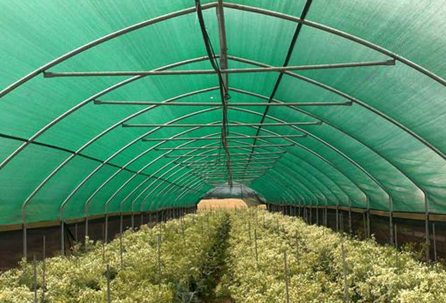 Net-covered nursery growing structure