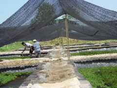 Shade Netting3